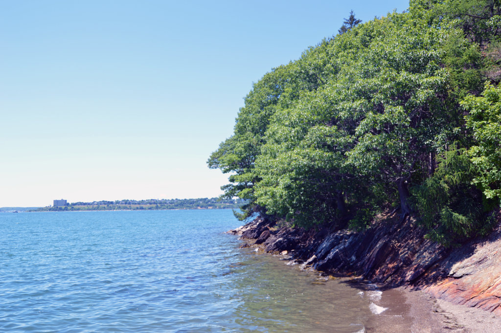 Casco Bay’s Mackworth Island A place to feel ‘the slow circles of nature’