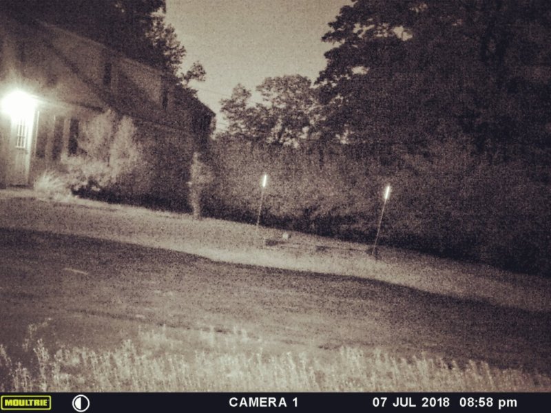 Is that a ghost caught on a game cam in a Durham front yard?