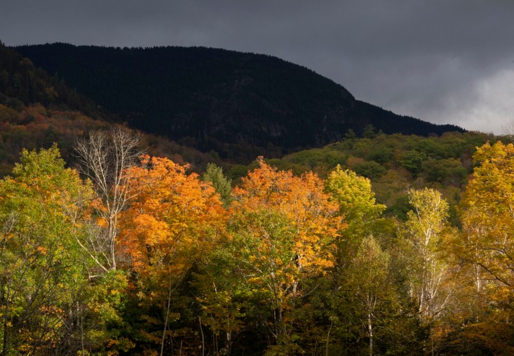 A stormy sky and a ridge in shadow make sunlit trees glow more brightly on the Maine/New Hampshire border.
