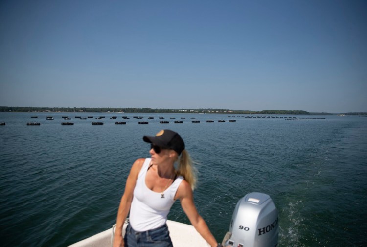 BAR HARBOR, ME - AUGUST 26: Joanna Fogg, co-owner of Bar Harbor Oyster Company, motors out to the Mount Desert Narrows on Thursday, Aug. 26, 2021. (Davis/Staff Photographer)