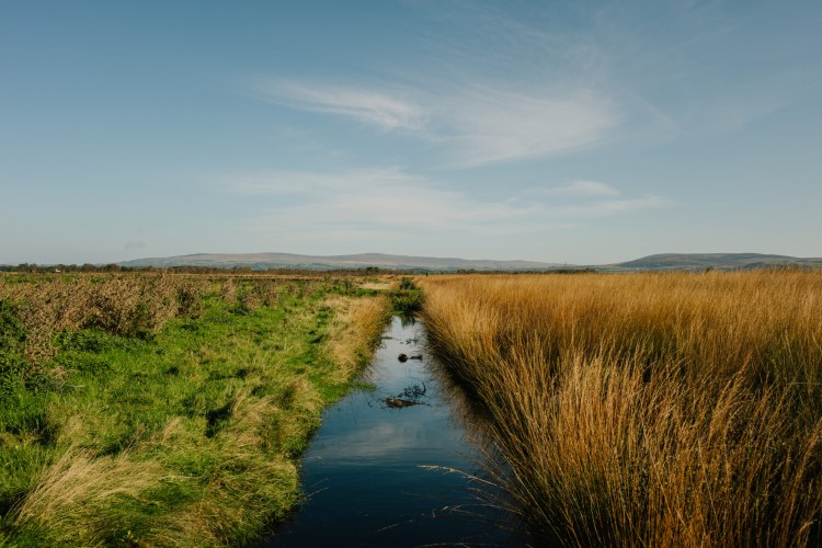 Water channels run between established sections of peat bog, and direct water toward newer areas, at Winmarleigh Moss in Lancashire, England. MUST CREDIT: Photo for The Washington Post by Simon Bray