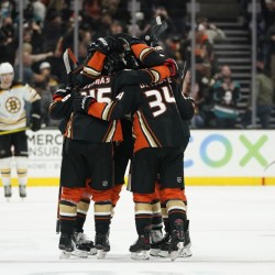 Bruins Ducks Hockey