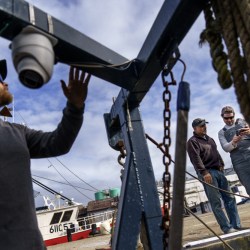 Ocean Fisheries Camera Observers