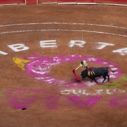Mexico Bullfighting