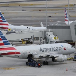 American Airlines-Bag Fees
