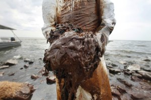 Gulf Spill Workers Left Behind