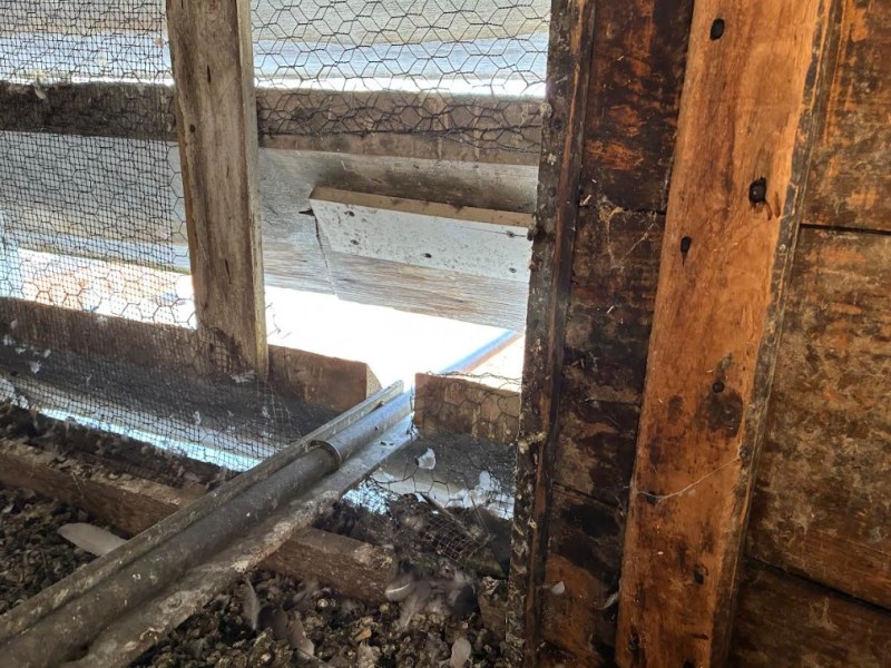 Pigeons moved into the Franklin County courthouse clock tower. It’ll cost $18K to clean them out