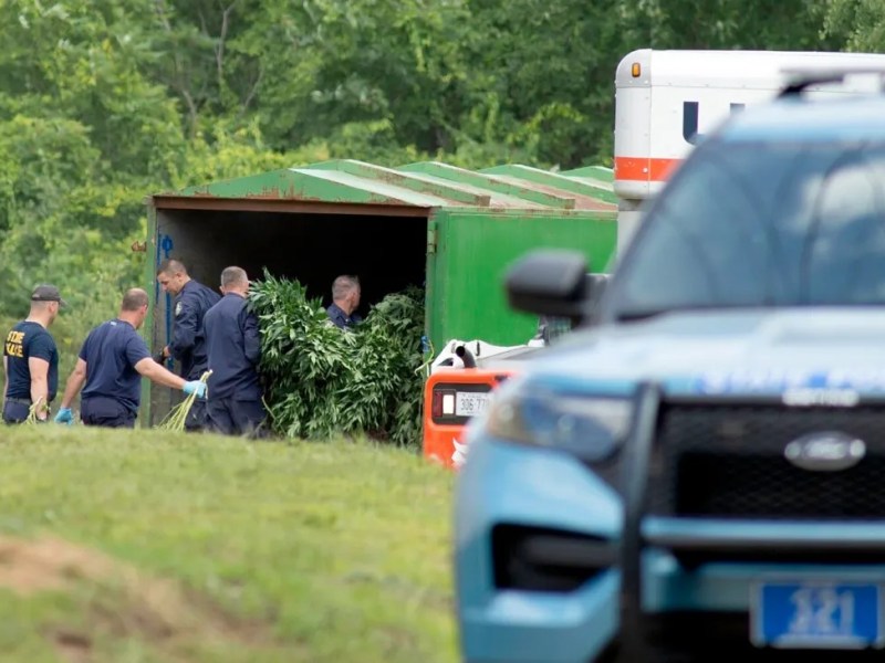 Alleged ringleader in illicit Farmington pot operation obtained firearm, made threats, officials say