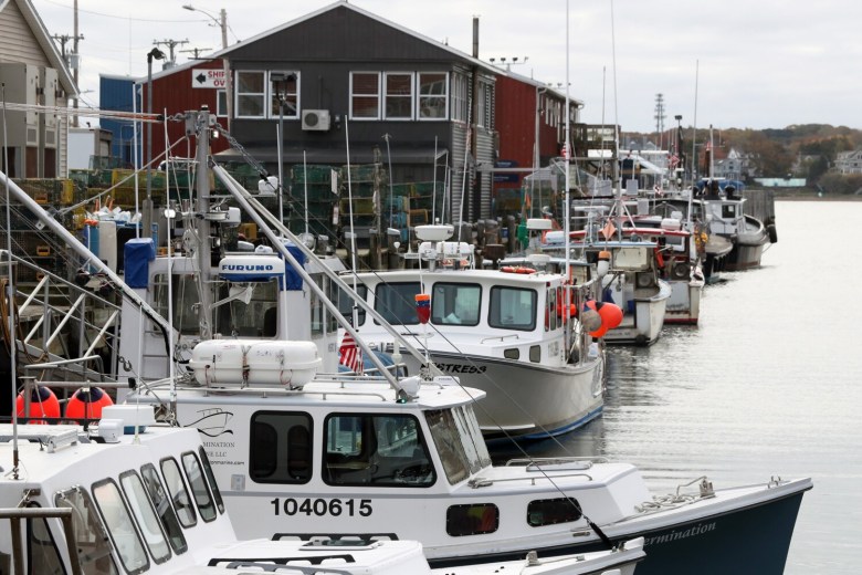 Portland stands out as a climate-ready community | Opinion