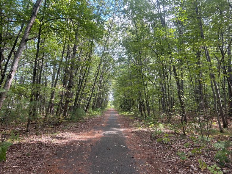 With no guarantee of stability, we had to leave Maine | Letter